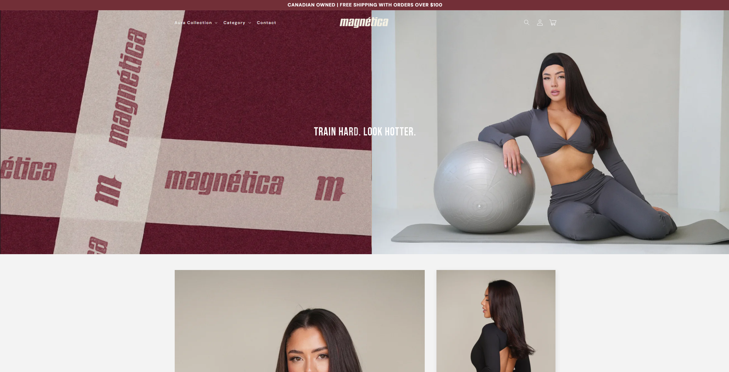 Magnetica business landing page Alberta built by Zion Commerce